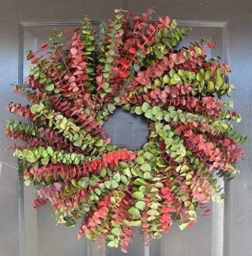 Elegant Holidays Handmade Christmas Eucalyptus Wreath, Welcome Guests with Decorative Front Door- for Outdoor or Indoor Home Wall Accent Décor, All Seasons and Holidays- 16-24 inches available