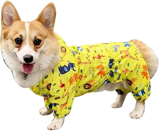 dog raincoat pets at home