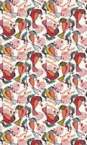 Christmas Birdies Photo Backdrop 5' x 6'