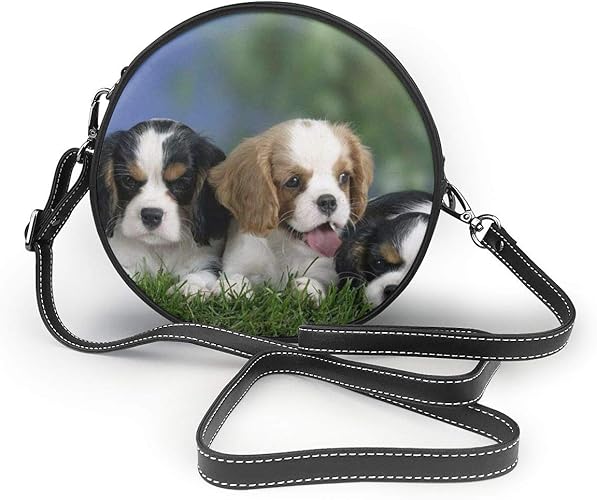 Amazon キャバリア キング チャールズ スパニエル 犬柄 丸型ショルダーバッグ ハンドバッグ Puレザー 小さめ 肩掛け 斜めがけ 可愛い レディース レザーショルダーバッグ おしゃれ 携帯用 小型バッグ モンムメメシュ シューズ バッグ