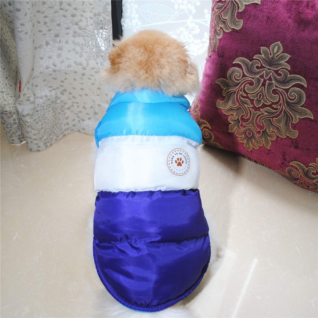 N / A Pet Winter Clothes,Dog Winter Warm Coat Jackets Dog Clothing Costume for Puppy Small Dogs Medium Dogs(M, Blue) - Image 3