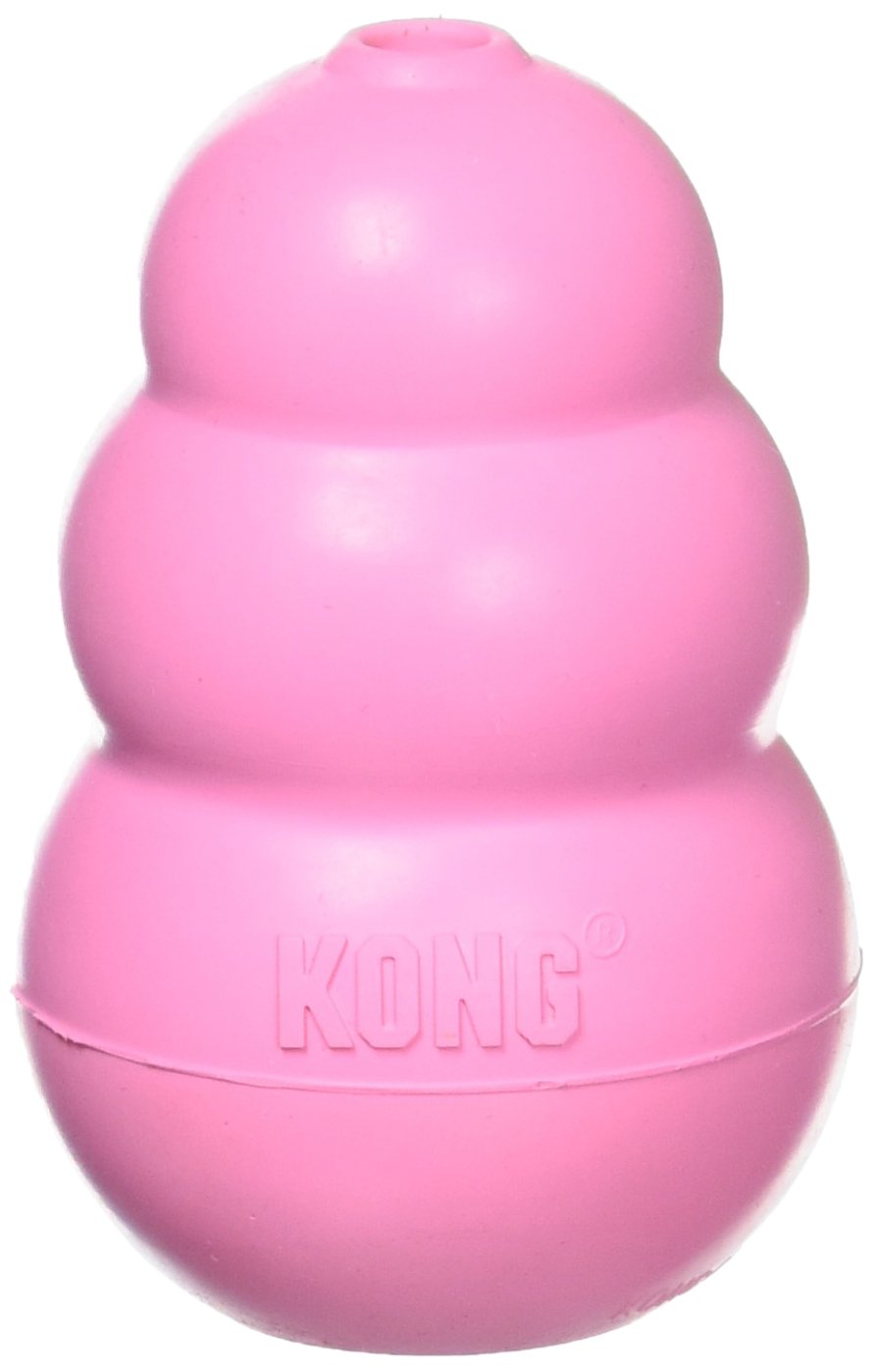 KONG Puppy