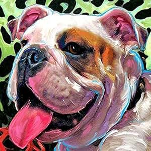 Amazon.com: 24x24cm Diamond Embroidery English Bulldog 5d Diamond