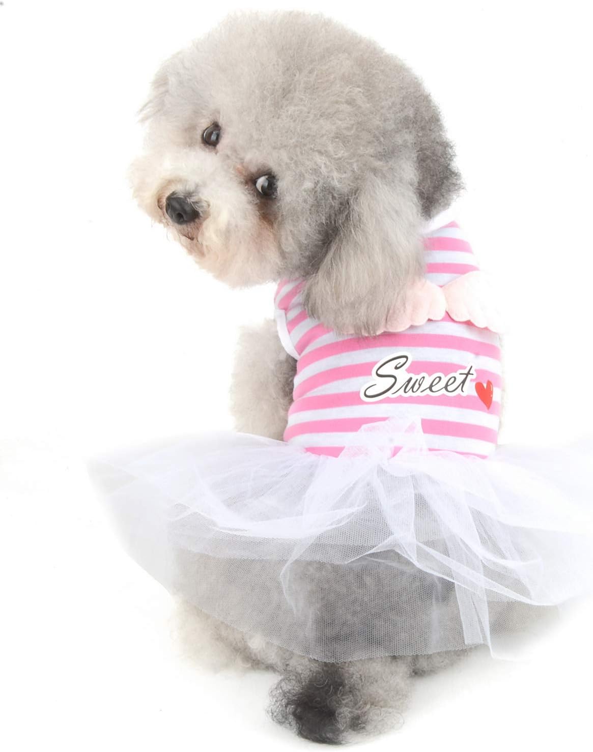 revolution for ear mites cats