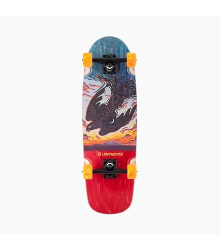 Amazon.com: Landyachtz Dinghy 28