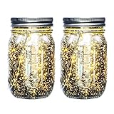 iThird Mason Jar Lights Waterproof, Solar String Lights Outdoor Warm White 2 Pack 20 LED for Christmas Thanksgiving Day Party Wedding Deck Decorative Lighting(Jars Included)