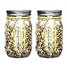 iThird Mason Jar Lights Waterproof, Solar String Lights Outdoor Warm White 2 Pack 20 LED for Christmas Thanksgiving Day Party Wedding Deck Decorative Lighting(Jars Included)