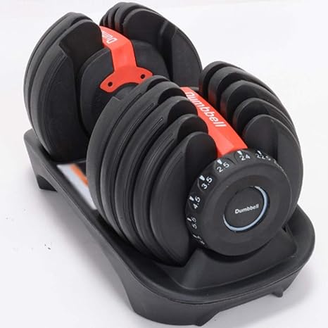 dumbbells at modell's