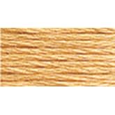 DMC 117-3856 Mouline Stranded Cotton Six Strand Embroidery Floss Thread, Light Mahogany, 8.7-Yard