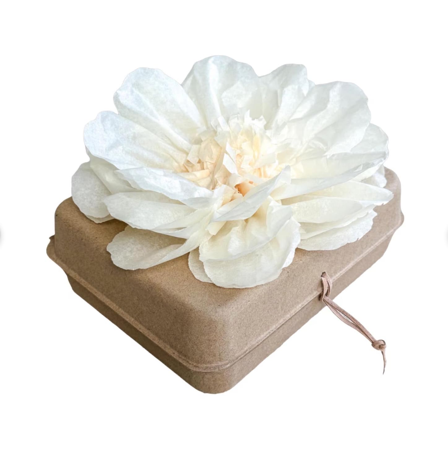 Photo 1 of Biodegradable Water Burial Urn Kit - Cruise Approved | Ocean Ashes Scattering Ceremony with Certificate | Eco-Friendly Memorial Urn. (Medium)