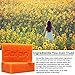 Solpri Shield Athletic Soap Bar Lemongrass Tea Tree Eucalyptus 4 oz (6 Pack)