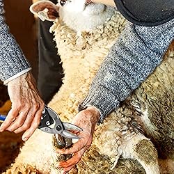 Harhana Enhanced Goat Hoof Trimmers, Trimming