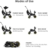 Doona Liki Trike S5 Deluxe Foldable Toddler Tricycle Racing Green 10m-3y view 3