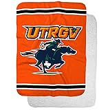 University of Texas Rio Grande Valley Primary Logo