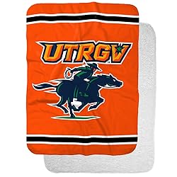 University of Texas Rio Grande Valley Primary Logo