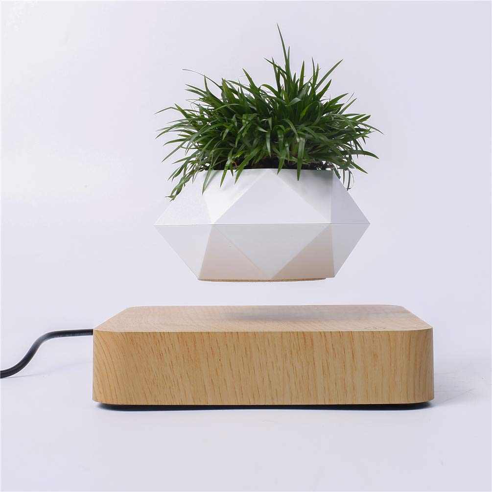 Kiko-ershaa Levitation Plant Pot Floating Air Bonsai Pot Suspension Flower Pot Planter for Desk Decoration