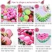 fozi cozi,144PCS Watermelon Birthday Party Decorations Set-Summer Birthday Party Supplies(Include Watermelon Decor Balloons Cupcake Toppers,Etc.),Pink