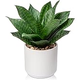 Artificial Agave Succulent Plants Faux Snake Plant Fake Succulent Agave Plant Potted in White Pot Succulent Aloe Plant for Desk Modern Office Living Room Table Shelf Home Indoor Outdoor Decor