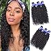 Malaysian Water Wave Bundles Wet and Wavy Hair 3 Bundles 100% Unprocessed Virgin Human Hair Extensions 100g per Bundle Double Wefts Natural Black (16 18 20)