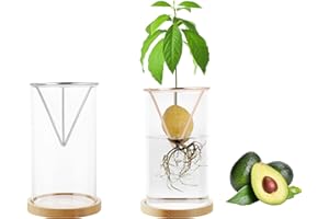 PLUS TARD 2Set Avocado Seed Holder, Avocado Plant Growing Kits with Plant Pot and Wooden Base for Gardening Lovers, Indoor Planting