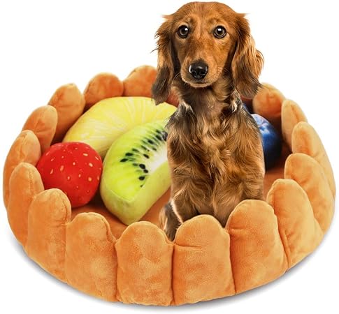 is the jasmine plant poisonous to dogs