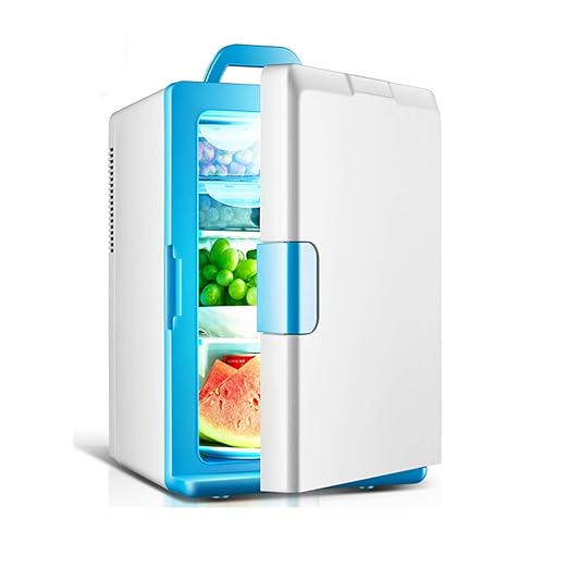 AIBAB Refrigerador del Coche Mini Nevera 12v / 220v Tipo De Puerta ...