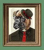 Cyrus the Zoot Suit Boxer dog Mobster with hat illustration beautifully upcycled dictionary page book art print