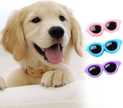 Jeeke 10Pcs Pet Dog Hair Clips Cute Doggie Circular Sunglasses Hair Clips Dog Accessories Fashion and Lovely