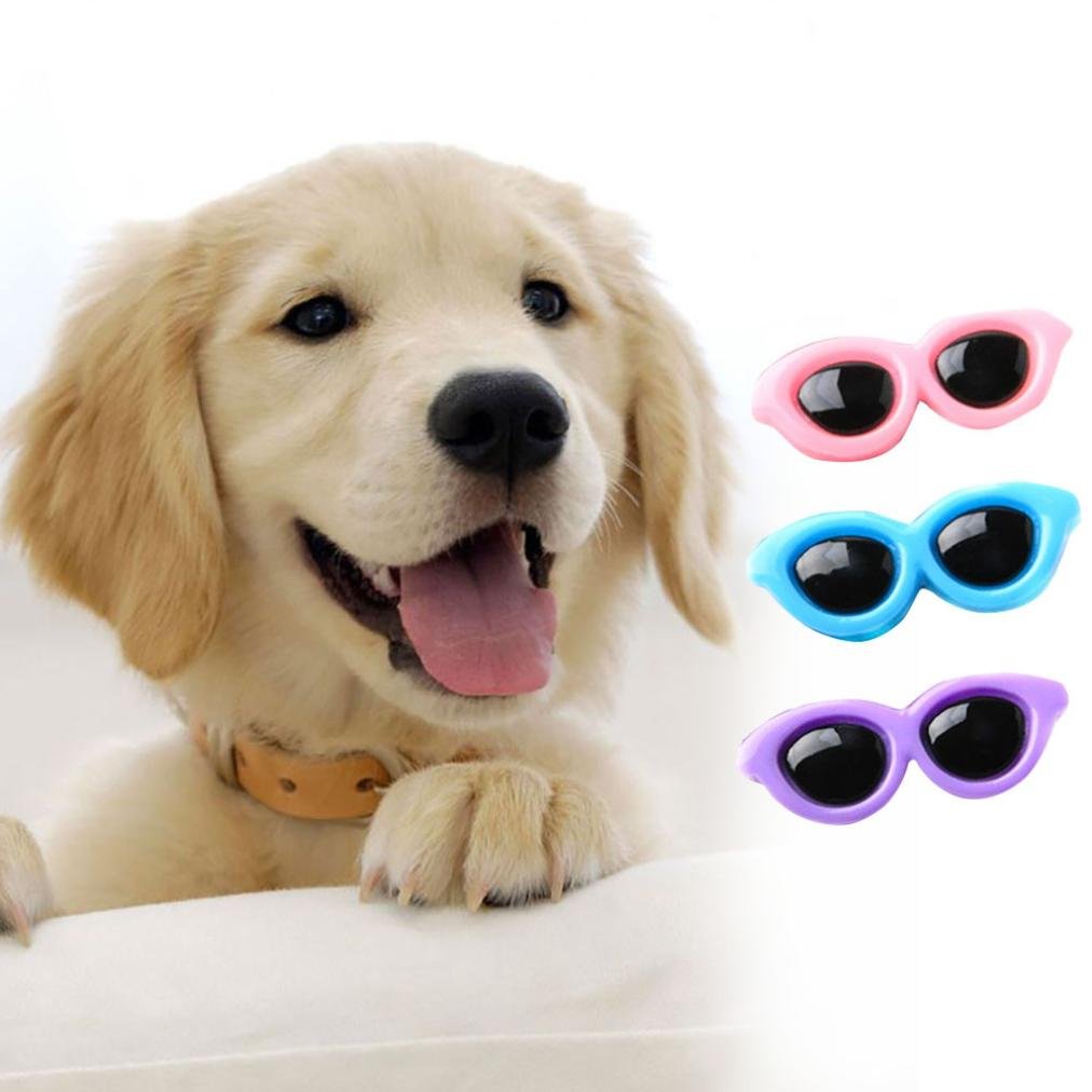 Jeeke 10Pcs Pet Dog Hair Clips Cute Doggie Circular Sunglasses Hair Clips Dog Accessories Fashion and Lovely