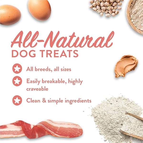 PORTLAND PET FOOD COMPANY PUMPKIN DOG TREATS HEALTHY BISCUITS FOR SMALL MEDIUM & LARGE DOGS – GRAIN-FREE, HUMAN-GRADE, ALL NATURAL COOKIES, SNACKS & PUPPY TRAINING TREATS – MADE IN THE USA – 5 OZ