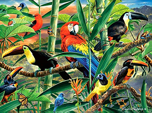 Buffalo Games - Hautman Brothers - Rainforest Menagerie - 1000 Piece Jigsaw Puzzle