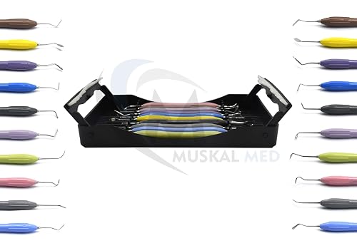 Dental Composite Filling Restorative Instruments