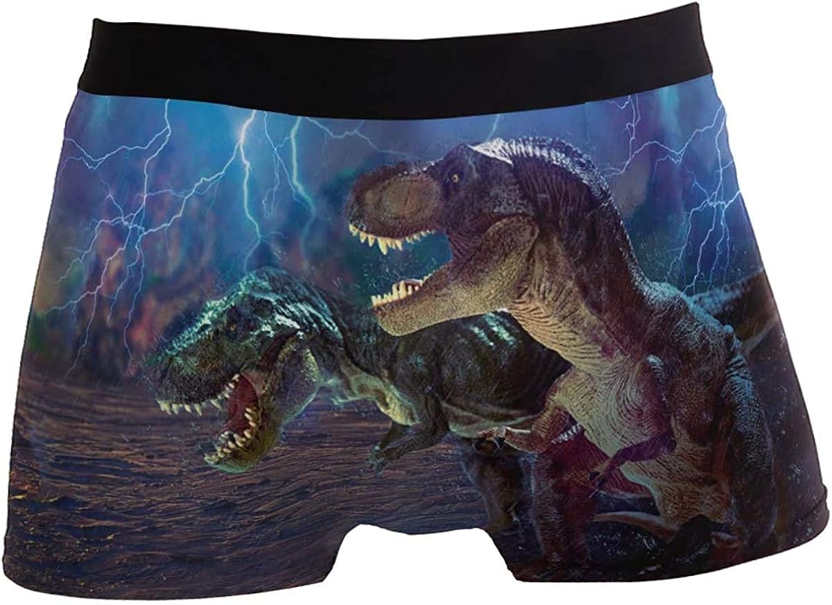 Cute Underwear Men, Print Underwear for Men Boxer Briefs Soft Polyester