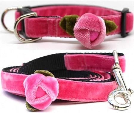 diva dog collar