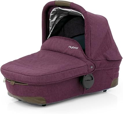 hybrid carrycot