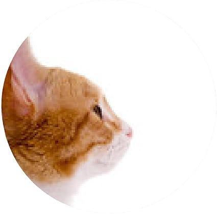 Tapis De Souris Tete De Chat Dans Le Profil Rond Amazon Fr High Tech