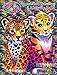 Lisa Frank Supersize Coloring & Activity - Hunter & Forrest