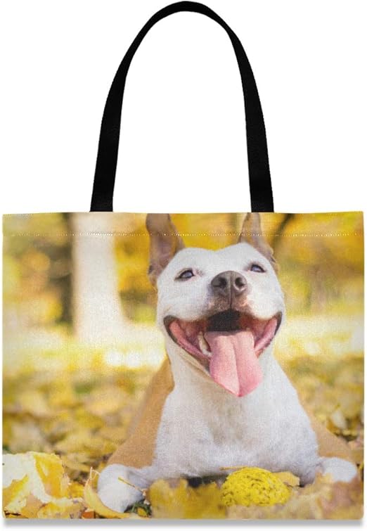 dog grocery shopping