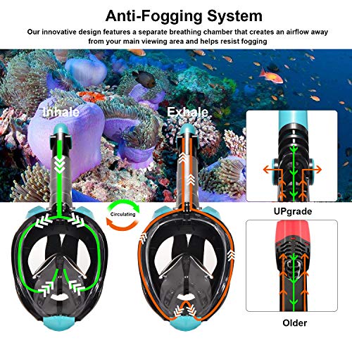 Gocheer Adult Swimming mask, Snorkel Mask Full Face with Adjustable Head Straps Foldable Underwater Breathing Device Anti-Leak Anti-Fog Dry Top Set