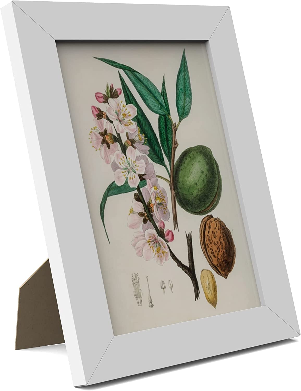 MH Traders 3 Pack White A5 Picture Frame - Freestanding and Wall Mounted Photo Frame for Pictures Posters & Certificates - 15 x 21 CM A5 Size Compact Picture Frames
