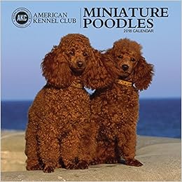 American Kennel Club Miniature Poodles 2018 Wall Calendar Zebra Publishing 0629084181667 Amazon Com Books