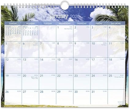 taget com topical escapes 2021 wall calendar Amazon Com At A Glance 2020 Monthly Wall Calendar 15 X 12 Medium Wirebound Tropical Escape Dmwte828 Model Dmwte82820 Office Products taget com topical escapes 2021 wall calendar