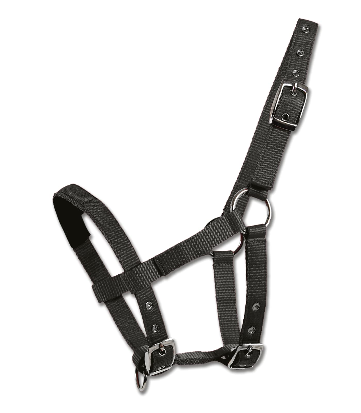 Waldhausen Mini-Shetty Halter - Black, Mini Shetty
