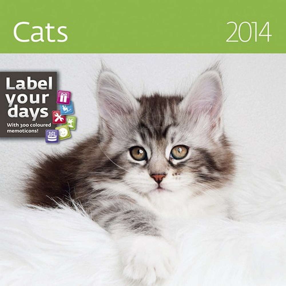 Helma 365 Cats Wall Calendar