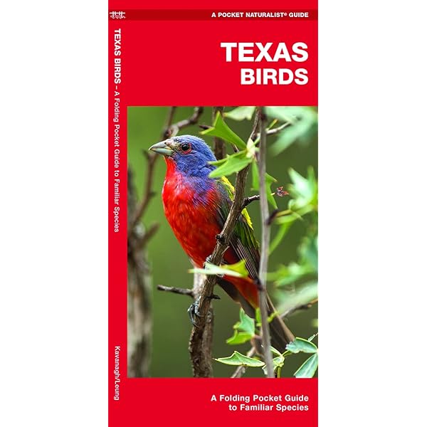 Amazon.com: Spirits of the Air: Birds and American Indians in the