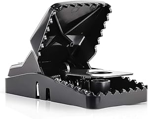 Large Powerful Rat Traps (12 Pack) - Kills Instantly with Powerful Steel Spring - Setup in Seconds - Wash & Reuse Over & Over - Hands Free Disposal - Rat Control without Harmful Poisons or Chemicals