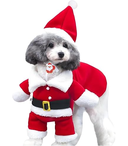 Costume De Noël Pour Chien - Motif Sapin 3D - Taille Ajustable Petit/moyen/grand