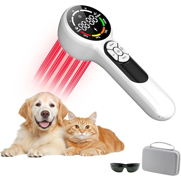 Portable Cold Laser Therapy Device For Pet Animals.Near Infrared Light For Joint