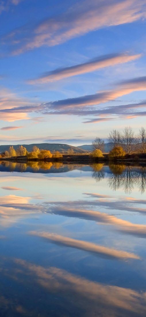 PeelitStickit, Beautiful Nature Wall Murals, ID-073, vinyl, Multi-colour