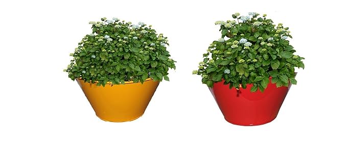 First Smart Deal Metal Table Top Round Planter Multi - Pack Of 2